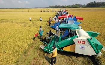 Hưng Yên tiếp tục đẩy mạnh cơ giới hóa trong sản xuất nông nghiệp