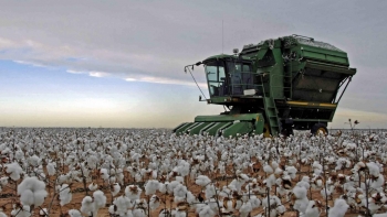 Việt Nam nhập khẩu bông lớn thứ 3 thế giới