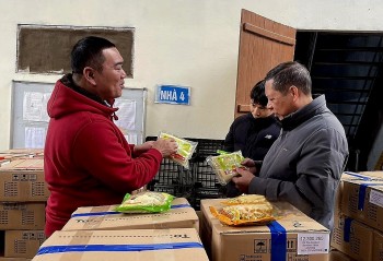 Hoà Bình xuất khẩu 20 tấn sản phẩm măng sang thị trường Hà Lan