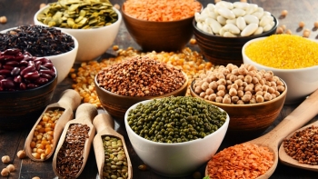 Chế độ ăn uống "thân thiện" cho người có dạ dày nhạy cảm