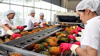 Phát triển sản xuất, chế biến nông sản gắn với an toàn thực phẩm