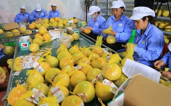 Nông sản Việt có nhiều cơ hội gia tăng thị phần tại thị trường Anh