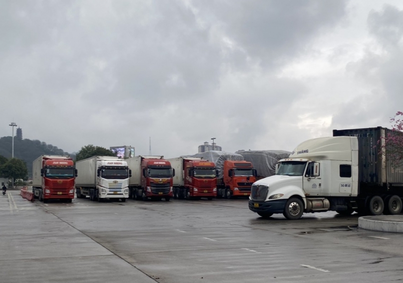 Xe xếp hàng chờ đến lượt làm thủ tục. Ảnh Báo Công Thương