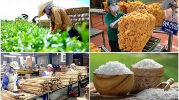 Những yếu tố giúp xuất khẩu nông lâm thủy sản thu về gần chục tỷ đô chỉ trong 2 tháng