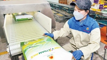 Tìm giải pháp phát triển thị trường gạo trong năm 2024