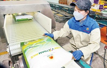 Tìm giải pháp phát triển thị trường gạo trong năm 2024