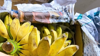 Những lợi ích cho sức khỏe từ chuối sáp