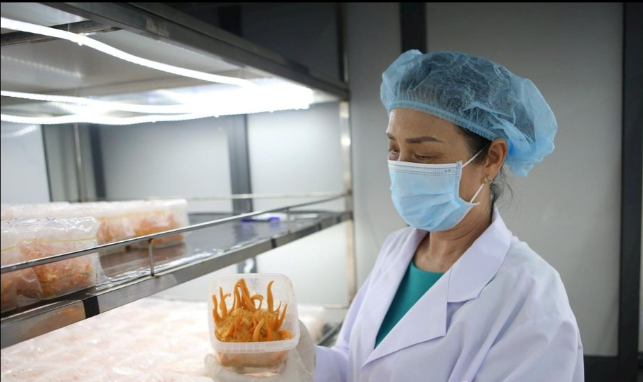 Nguyên liệu sản xuất được bà Nguyễn Thị Nụ, Giám đốc Công ty TNHH MTV Phát triển nông nghiệp công nghệ cao Nấm vàng và Hoa (Gia Nghĩa) nhập về từ các nước Nhật Bản, Mỹ, Pháp...