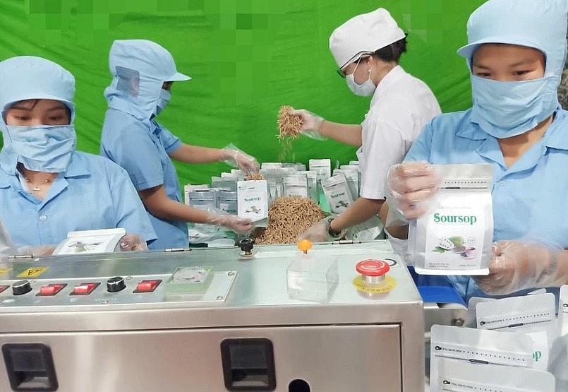 Những nữ doanh nhân nặng lòng với nông sản Việt