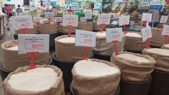 Giá lúa gạo hôm nay ngày 8/3/2024: Giá gạo đẹp nhích nhẹ