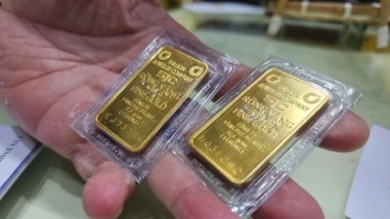 Giá vàng hôm nay 23/3/2024: Vàng SJC tiếp đà giảm mạnh