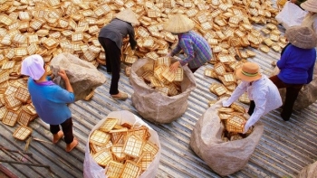 Biến cây dại thành hàng xuất khẩu, nhà nông kiếm bộn tiền