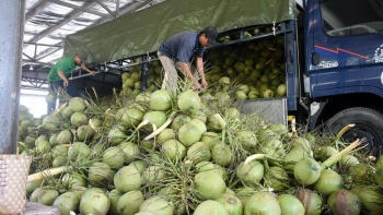 Rau quả xuất khẩu kỳ vọng đạt kỷ lục mới trong năm 2024