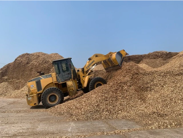 Trung Quốc là thị trường xuất khẩu dăm gỗ lớn nhất của Việt Nam