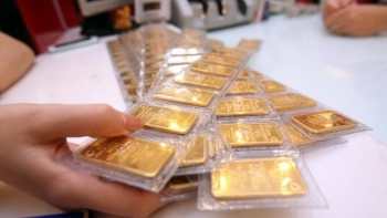 Giá vàng hôm nay 31/3/2024: Giá vàng SJC tuột khỏi mức 81 triệu đồng/lượng