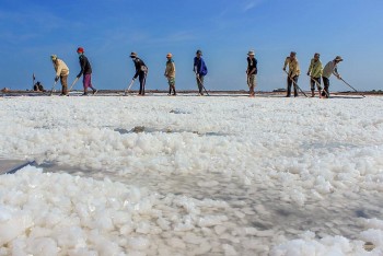 Festival muối Bạc Liêu 2024: Nâng tầm giá trị hạt muối Việt Nam