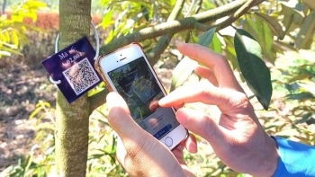 Số hóa gần 10.000 cây sầu riêng hướng đến phát triển ngành hàng sầu riêng bền vững