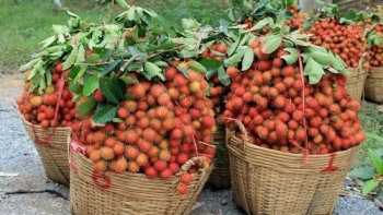 Doanh nghiệp nên làm gì để xuất khẩu nông sản vào ASEAN đạt tỷ USD?