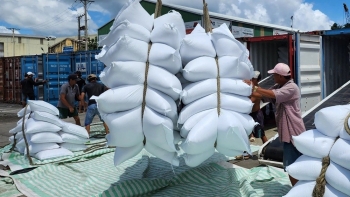 An Giang đẩy mạnh xúc tiến xuất khẩu gạo vào các thị trường trọng điểm