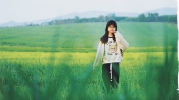 Đồng cỏ rộng hàng ngàn ha mãn nhãn ở Nghệ An “đốn tim” du khách