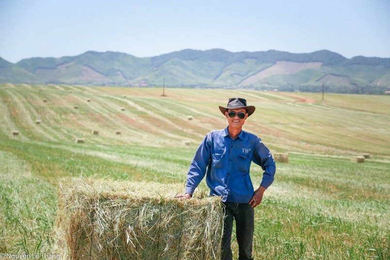 Đồng cỏ rộng hàng ngàn ha mãn nhãn ở Nghệ An “đốn tim” du khách