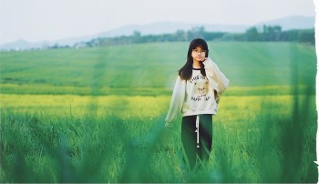 Đồng cỏ rộng hàng ngàn ha mãn nhãn ở Nghệ An “đốn tim” du khách