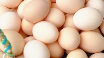 Trứng sạch Hiền Nhuần