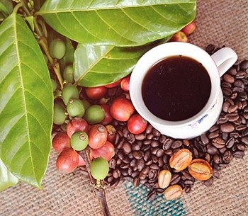 Giá nông sản hôm nay 25/3: Cà phê Tiếp đà tăng, hồ tiêu điều chỉnh trái chiều