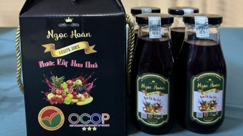 Nước cốt hoa quả Ngọc Hoàn