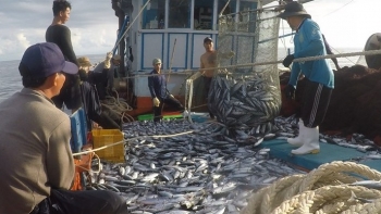 Đưa Việt Nam trở thành một quốc gia mạnh về biển, giàu từ biển