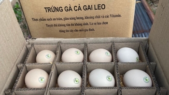 Trứng gà cà gai leo Sadu