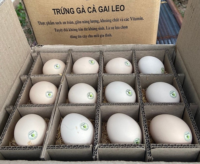 Trứng gà cà gai leo SADU Trứng gà cà gai leo SADU