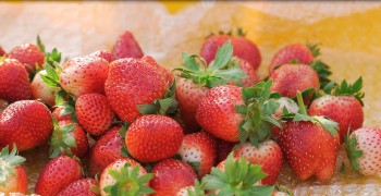 Dâu tây vào suất ăn phục vụ hành khách Vietnam Airlines: Cơ hội quảng bá, nâng tầm thương hiệu nông sản Sơn La