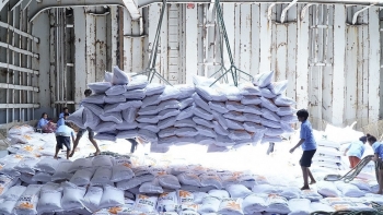 Khuyến cáo doanh nghiệp về dư lượng thuốc bảo vệ thực vật khi xuất khẩu gạo sang EU