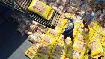 Những rào cản mới của gạo Việt Nam tại thị trường Philippines