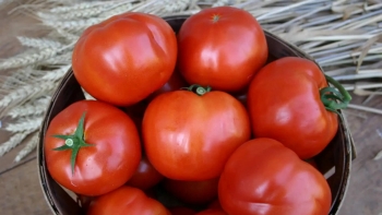 Lợi ích của cà chua đối với người bệnh tiểu đường