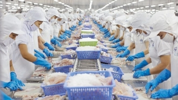 3 thị trường nhập khẩu lớn nhất thủy sản Việt Nam trong quý I/2024