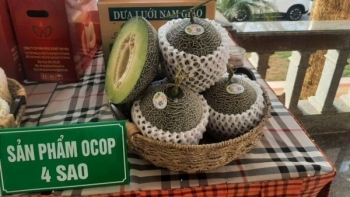 Dưa lưới Nam Giao