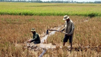 Thủ tướng yêu cầu tăng cường phòng, chống nắng nóng, hạn hán, thiếu nước, xâm nhập mặn