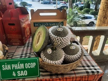 Dưa lưới Nam Giao