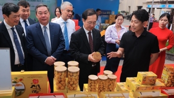 Hơn 60% sản phẩm OCOP 4 sao đã được bảo hộ quyền sở hữu trí tuệ