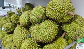 Chưa rõ nguyên nhân 30 lô sầu riêng xuất khẩu nhiễm cadimi