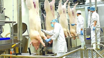 Lo ngại Việt Nam sẽ là nước "siêu nhập khẩu" sản phẩm chăn nuôi, các hiệp hội kiến nghị gì?