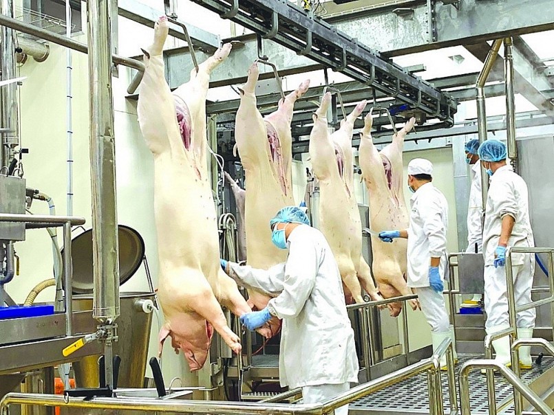 Đậm đà hương vị phương Nam trong Ngày hội Bánh dân gian Nam Bộ 2024 Đậm đà hương vị phương Nam trong Ngày hội Bánh dân gian Nam Bộ 2024