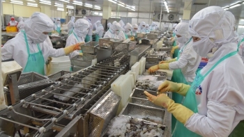Hoa Kỳ áp thuế chống trợ cấp sơ bộ 2,84% đối với tôm nước ấm đông lạnh của Việt Nam