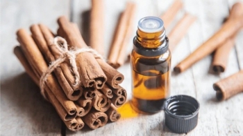 Gỡ vướng cho xuất khẩu tinh dầu quế