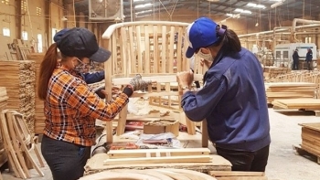 Đón tín hiệu tích cực, Ngành gỗ vẫn chưa thể “thở phào”