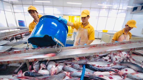 Khối lượng giảm, giá cá tra xuất khẩu vẫn tăng