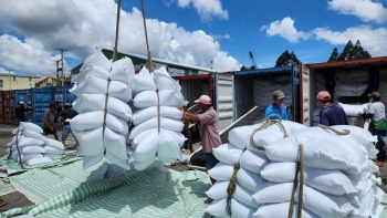 Hạn ngạch gạo và lá thuốc lá khô được trừ lùi tự động