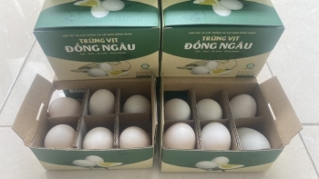 Trứng vịt Đồng Ngâu